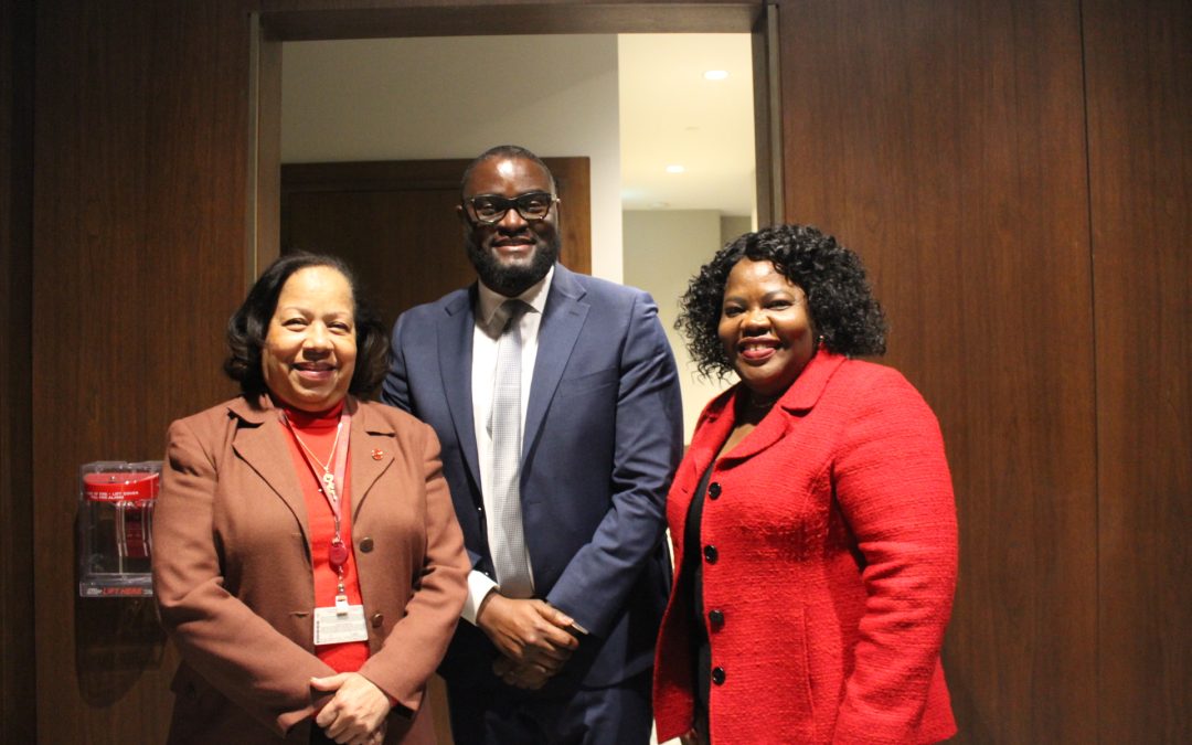 Minority-language health services- A Call to Action